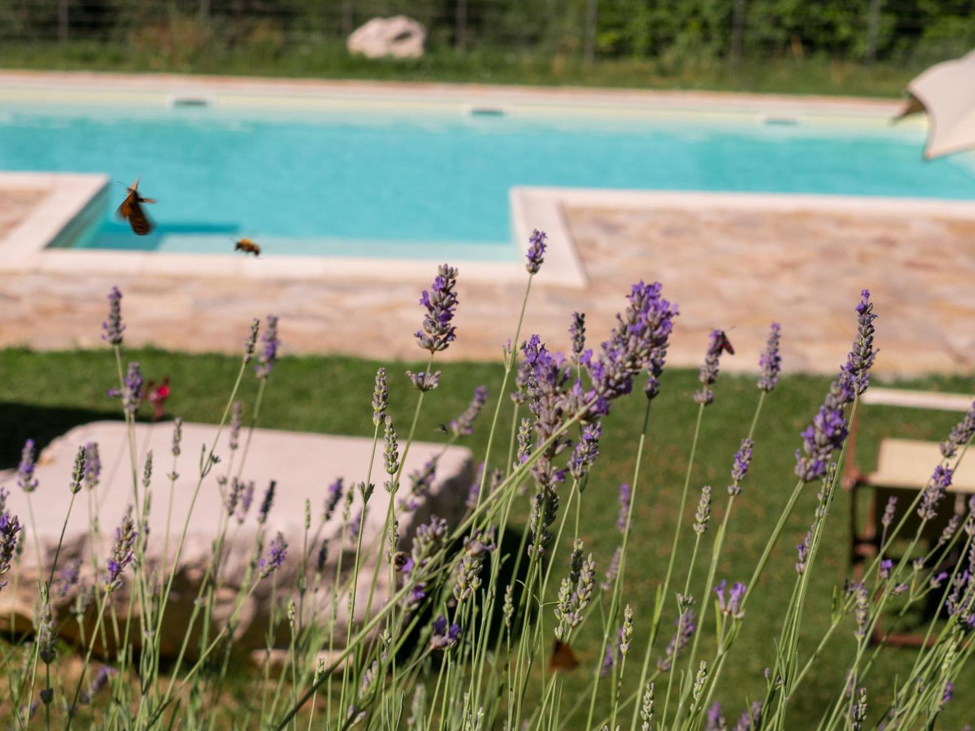Lacelletta Country House Urbino Buitenkant foto
